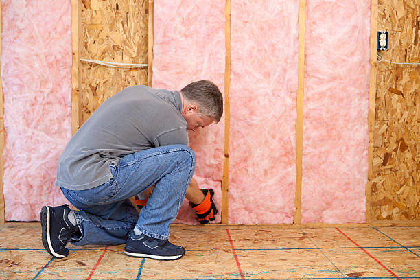Best Wall Insulation Contractor  in Enlow, PA