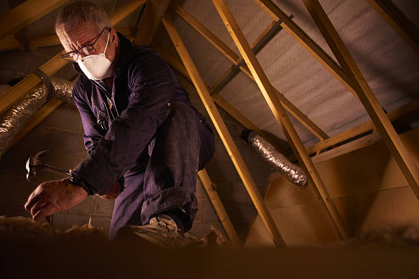 Attic Insulation Near Me in Enlow, PA