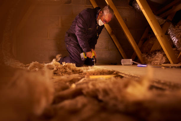 Best Insulation Inspection Services  in Enlow, PA